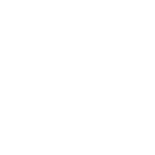 Executive, Leadership, Life Seal